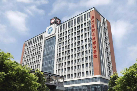 石伏软件助力广东医科大学寮步医院全面提升内控管理