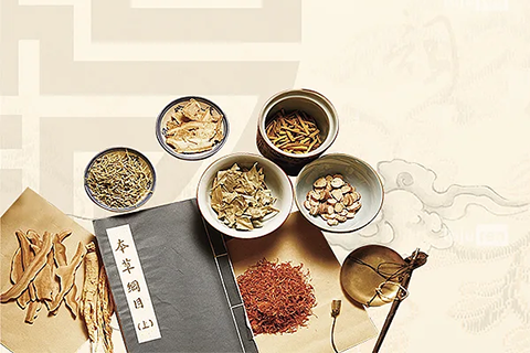 技术赋能·薪火相传 | 广东省名老中医药专家传承服务系统建设